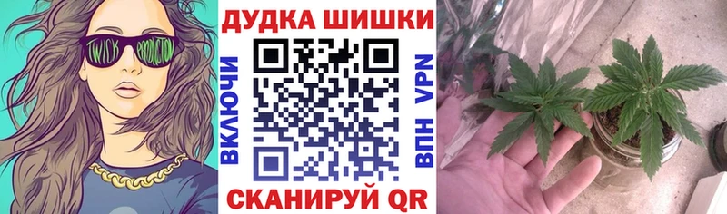 МДМА Анива