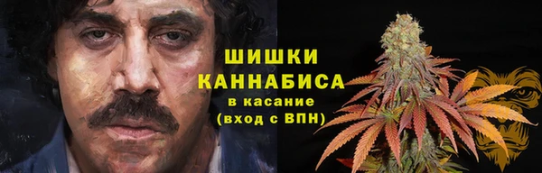 сатива Алзамай
