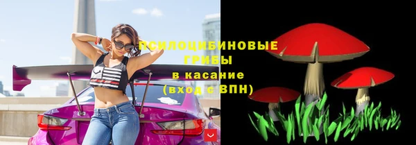 винт Алексеевка