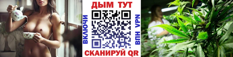 купить Анива Канабис планчик